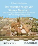 Der stumme Zeuge von Wiener Neustadt