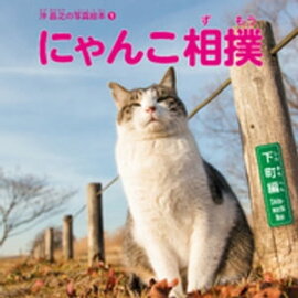 ����Ƿ�μ̿����� �ˤ�����СҲ�Į�ԡ� 