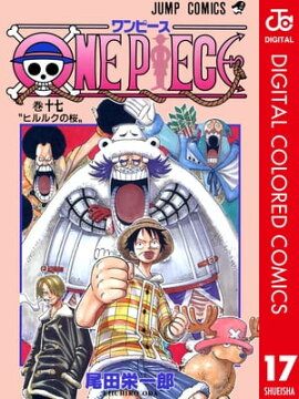 ONE PIECE カラー版 17 