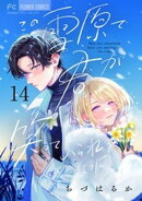 この雪原で君が笑っていられるように【マイクロ】(14)