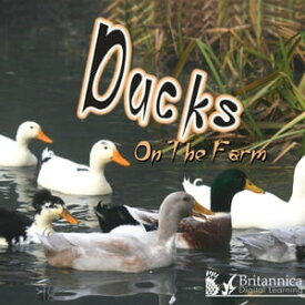 Ducks on the Farm【電子書籍】[ Kyla Steinkraus ]