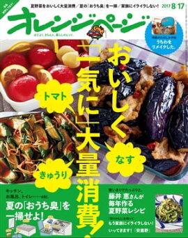 ����󥸥ڡ��� 2017ǯ 8/17�� 