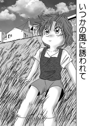 いつかの風に誘われての表紙