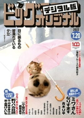 �ӥå����ߥå����ꥸ�ʥ� 2022ǯ14���2022ǯ7��5��ȯ��) 