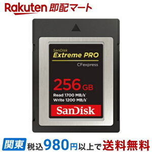 SanDisk GNg[ v CFexpress Type BJ[h 256GB SDCFE-256G-GH4NN