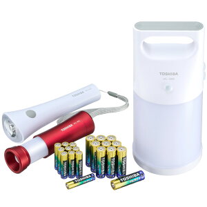  X-BOUSAI SET3 AJdr P3`(2×5) / P4`(2×5) / LEDd / LED^tCg / ZT[tLED^ Zbg