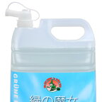 緑の魔女ランドリー5L+泡タイププレミアムセット詰替用ノズル付1セット