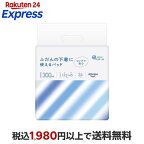 アテント ふだんの下着につかえるパッド 24枚入