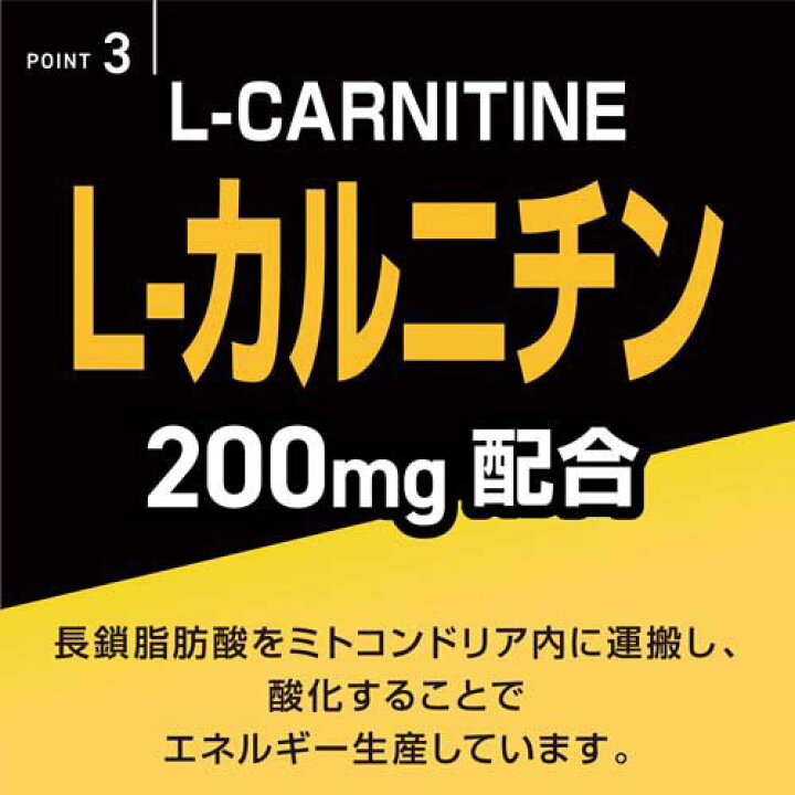 VAAM ATHLETE SMART FIT どちらがお勧め BICYCLE MARATHON