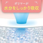 ポイズ さらさら吸水 吸水ナプキン 40cc 22枚