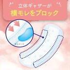 ポイズ さらさら吸水 吸水ナプキン 40cc 22枚