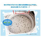 洗たく槽クリーナー 500g