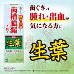 薬用歯みがき 生葉 100g