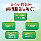 薬用歯みがき 生葉 100g