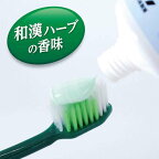 薬用歯みがき 生葉 100g