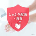 ミューズ 泡ハンドソープ フルーティフレッシュ 本体 250ml
