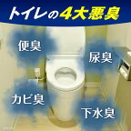 液体ブルーレット おくだけ除菌EX 消臭プロ 消臭ウォッシュ つけ替 67ml
