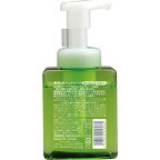 ファーマアクト 薬用泡ハンドソープ ボトル 250ml
