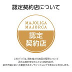 マジョリカ マジョルカ ラッシュエキスパンダー 孔雀ロング BK900 ロゼブラック 6g