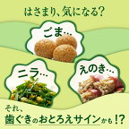 ディープクリーン薬用ハミガキ160g【ディープクリーン】