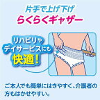 アテント昼1枚安心パンツ長時間快適プラスLサイズ女性用22枚入