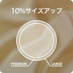 コンドーム／SKYNオリジナル アイアール　ラージ 10コ入