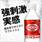ウィルキンソンタンサン300ml×24本入