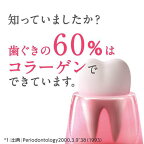 システマ ハグキプラス デンタルリンス 450ml
