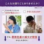 小林製薬の機能性表示食品ルテイン60日分60粒【小林製薬の栄養補助食品】ルテイン(機能性表示食品)