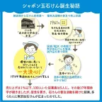 シャボン玉 全身ケアソープバブルガード つめかえ 470ml