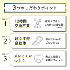 エリスショーツ L〜LL 昼・夜 長時間用 ブラックカラー 4枚入