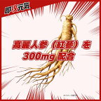 即攻元気ゼリー 高麗人蔘+栄養ドリンク味 180g×6袋入