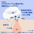 ニベア エンジェルスキンボディウォッシュ アクネクリア シトラス＆ハーブ 詰替 350ml