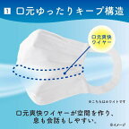 エリエールマスク ムレ爽快 ふつうサイズ 60枚入