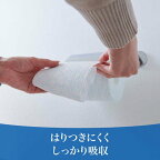 【最短当日配送】エリエールイーナトイレットティシューシャワー用ダブル12ロール【エリエール】トイレットペーパー