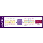 菊正宗 正宗印 導入美容液 185ml