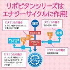 大正製薬リポビタンファイン100ml*10本入【リポビタン】