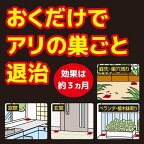 KINCHO アリがいなくなるコンバット 6個入