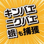 ハエとり棒コバエ取り捕獲器粘着シート蠅誘引1セット