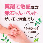 アース 防虫力 ダニよけ どでかシート 消臭・防カビ 無香性 2枚入
