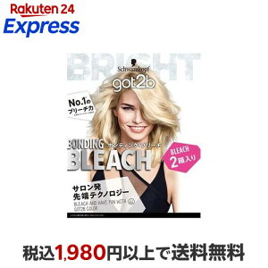 got2b �{���f�B���O�E�u���[�` 2���Z�b�g �ygot2b�z �u���[�`�� �����p