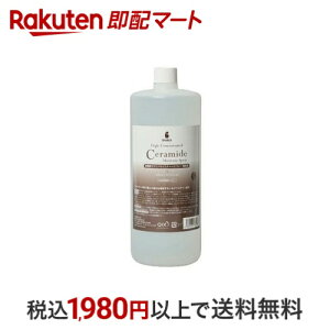 BASICS ZxZ~hCX`[Xv[ Lp Ɩp 1L yBASICSz pPApi