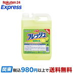 ルーキーV フレッシュ ライムの香り 業務用 4L