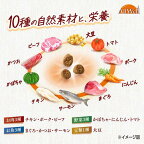 AllWell 10種自然素材 避妊去勢の体重ケア 筋肉の健康維持用 サーモン＆ツナ 600g