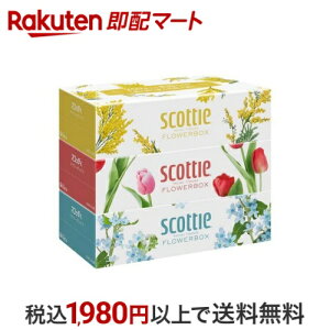 XRbeB eBbV t[{bNX 500(250g)×3pbN yXRbeB(SCOTTIE)z eBbV