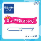 ソフィソフト タンポンレギュラー 34コ入