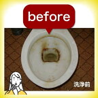 技 職人魂 トイレ職人 500ml