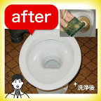 技 職人魂 トイレ職人 500ml