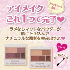 【最短当日配送】キャンメイク(CANMAKE)パーフェクトマルチアイズ053.0g【キャンメイク(CANMAKE)】アイシャドウ