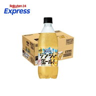 サントリー天然水 特製ジンジャーエール 500ml×24本入 【サントリー天然水】 炭酸飲料